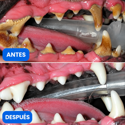 Pawtopia™ | Accesorio de Higiene Dental Canina