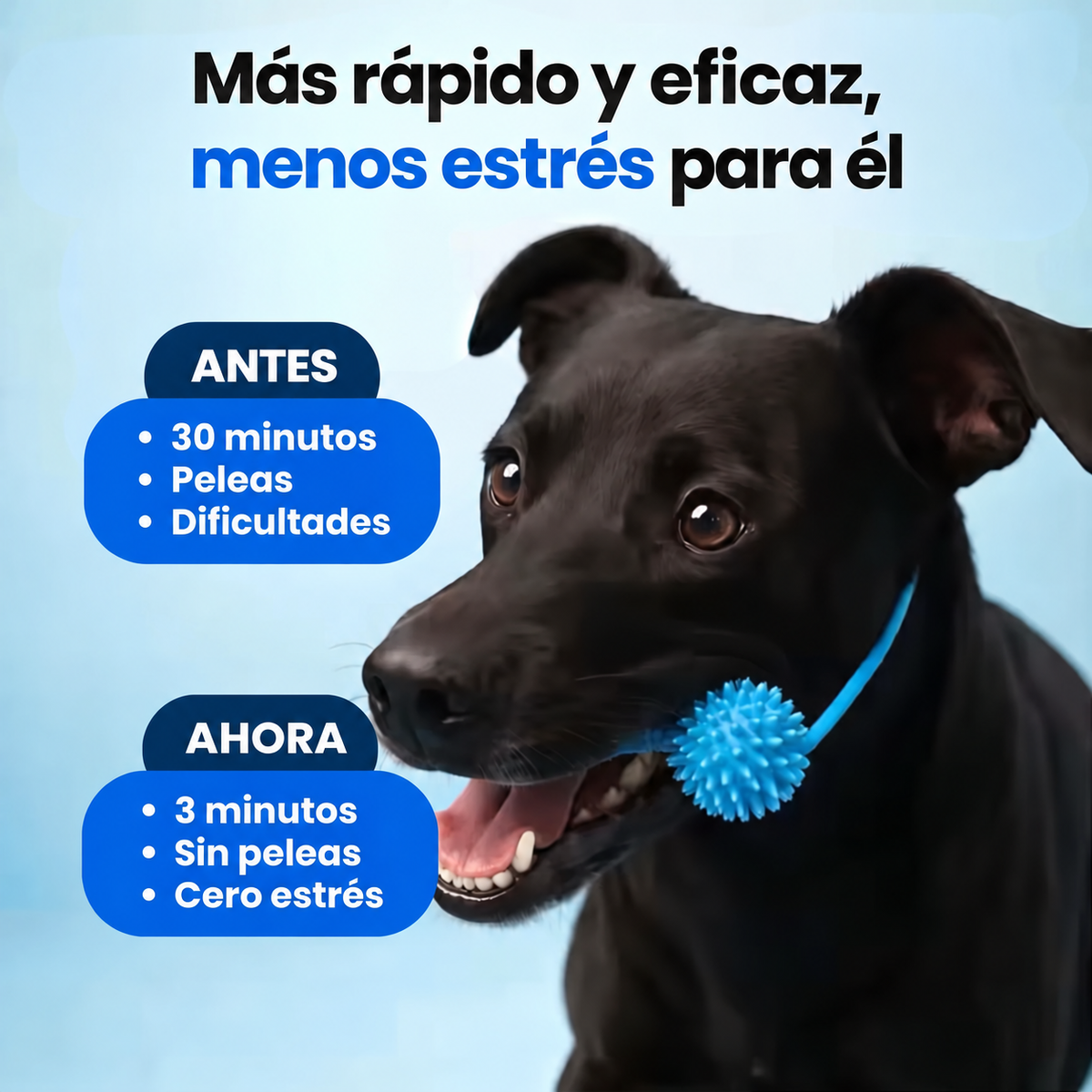 Pawtopia™ | Accesorio de Higiene Dental Canina